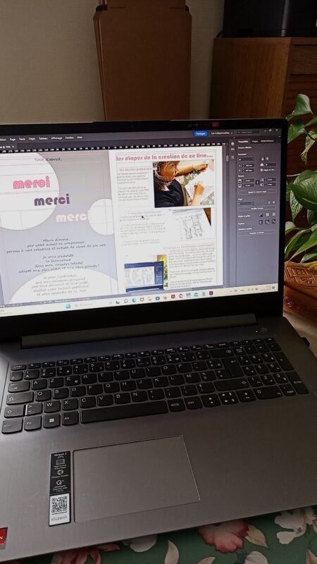 création sur ordinateur des pages de mon livre avec le logiciel InDesign